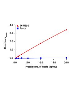 Cell Signaling GDF15/MIC1 Matched Antibody Pair
