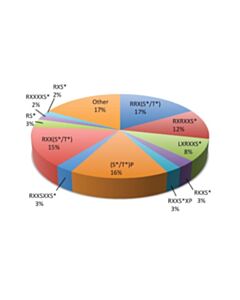 Cell Signaling PTMScan Basophilic Kinase Substrate Motif [(R/X)(R/X)Xp(S/T)] Kit 1 Kit