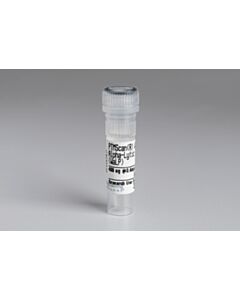 Cell Signaling Ptmscan Wild Type Alpha-Lytic Protease (Walp)