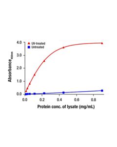 Cell Signaling Phospho-Glucocorticoid Receptor (Ser134) Matched Antibody Pair; 1 Kit