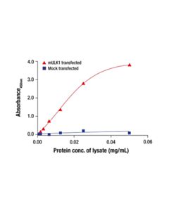 Cell Signaling Phospho-ULK1 (Ser555) Matched Antibody Pair