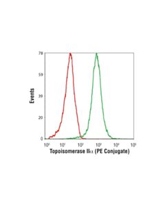 Cell Signaling Topoisomerase Iialpha (D10g9) Xp Rabbit mAb (PE Conjugate)