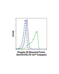 Cell Signaling Phospho-S6 Ribosomal Protein (Ser235/236) (D57.2.2e) Xp Rabbit mAb (PE-Cy 7 Conjugate)
