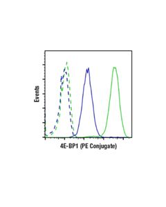 Cell Signaling 4e-Bp1 (53h11) Rabbit mAb (PE Conjugate)