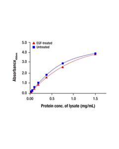 Cell Signaling Total GSK-3 alpha Matched Antibody Pair