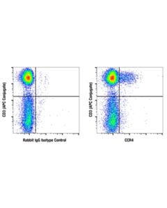Cell Signaling CCR4 (F3U4C) Rabbit mAb