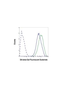 Cell Signaling Senescence Beta-Galactosidase Activity Assay Kit (Fluorescence, Flow Cytometry)