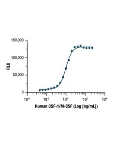 Cell Signaling Human CSF-1/M-CSF Recombinant Protein 10 ug