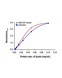 Cell Signaling Total Stat5a Matched Antibody Pair