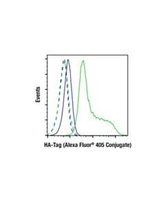 Cell Signaling HA-Tag (C29F4) Rabbit Monoclonal Antibody (Alexa Fluor ® 405 Conjugate)