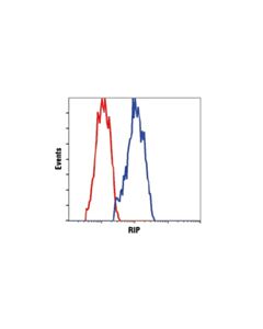Cell Signaling Phosphoplus Rip (Ser166) Antibody Duet