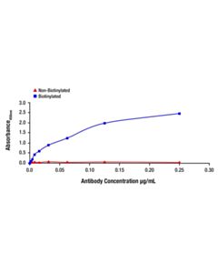 Cell Signaling Phospho-4E-BP1 (Thr37/46) (236B4) Rabbit Monoclonal Antibody (Biotinylated)