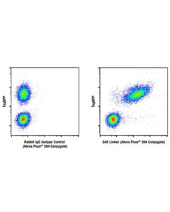 Cell Signaling G4s Linker (E7o2v) Rabbit mAb (Alexa Fluor ® 594 Conjugate)