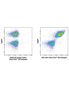 Cell Signaling G4s Linker (E7o2v) Rabbit mAb (Alexa Fluor ® 700 Conjugate)
