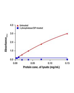 Cell Signaling Phospho-FAK (Tyr397) Matched Antibody Pair
