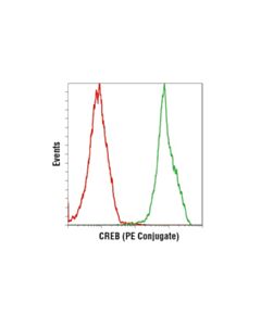 Cell Signaling Creb (48h2) Rabbit mAb (PE Conjugate)