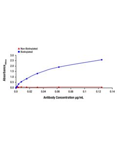 Cell Signaling Phospho-Stat3 (Tyr705) (D3A7) Rabbit Monoclonal Antibody (Biotinylated)