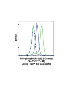 Cell Signaling Non-Phospho (Active) Beta-Catenin (Ser33/37/Thr41) (D13a1) Rabbit mAb (Alexa Fluor 488 Conjugate)