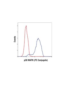 Cell Signaling P38 Mapk (D13e1) Xp Rabbit mAb (PE Conjugate)