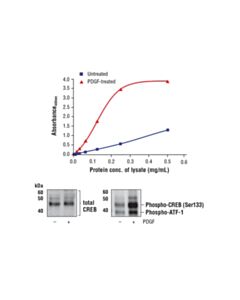 Cell Signaling Fastscan Phospho-Creb (Ser133) ELISA Kit