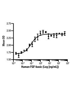 Cell Signaling Human Fgf-Basic/Fgf2 (147 Aa) Recombinant Protein