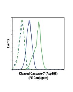 Cell Signaling Cleaved Caspase-7 (Asp198) (D6h1) Rabbit mAb (PE Conjugate)