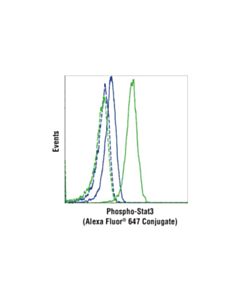 Cell Signaling Phospho-Stat3 (Tyr705) (D3A7) XP® Rabbit mAb (Alexa Fluor® 647 Conjugate); 20 µl
