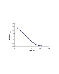 Cell Signaling Cyclic Amp Xp Assay Kit