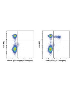 Cell Signaling Foxp3/Transcription Factor Fixation/Permeabilization Kit
