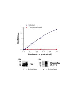 Cell Signaling Pathscan Phospho-Tau (Ser214) Sandwich ELISA Kit