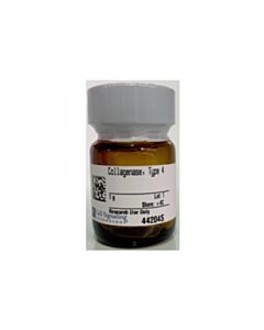 Cell Signaling Collagenase, Type 4