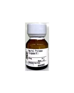Cell Signaling Neutral Protease (Dispase)