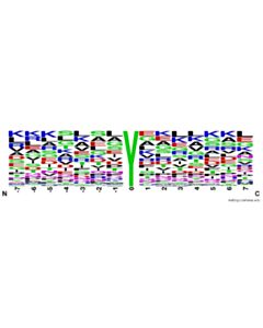 Cell Signaling PTMScan Nitro-Tyrosine Motif [Nitro-Y] Kit 1 Kit