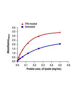 Cell Signaling Phospho-Bad (Ser112) Matched Antibody Pair II