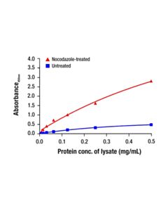 Cell Signaling Phospho-PLK1 (Thr210) Matched Antibody Pair