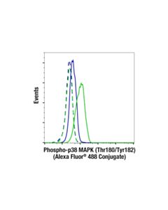 Cell Signaling Phospho-P38 Mapk (Thr180/Tyr182) (28b10) Mouse mAb (Alexa Fluor 488 Conjugate)