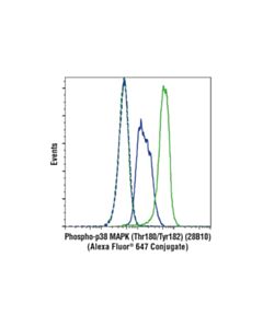 Cell Signaling Phospho-P38 Mapk (Thr180/Tyr182) (28b10) Mouse mAb (Alexa Fluor 647 Conjugate)