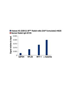 Cell Signaling Histone H3 (D2b12) Xp Rabbit mAb (Chip Formulated)
