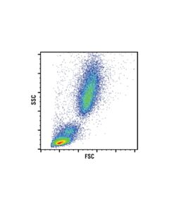 Cell Signaling Rbc Lysis Buffer (10x)