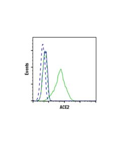 Cell Signaling ACE2 (E1E1I) Mouse mAb 20 uL