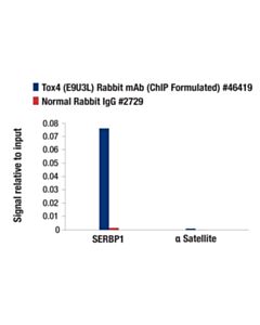 Cell Signaling Tox4 (E9U3L) Rabbit mAb (ChIP Formulated) 20 uL