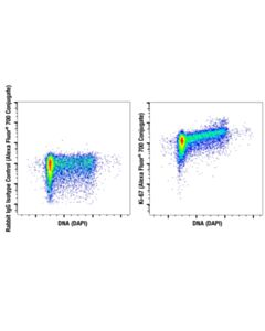 Cell Signaling Ki-67 (D3b5) Rabbit mAb (Alexa Fluor ® 700 Conjugate)