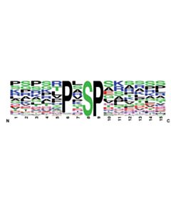 Cell Signaling PTMScan Phospho-MAPK/CDK Substrate Motif (PXS*P and S*PXK/R) Kit 1 Kit