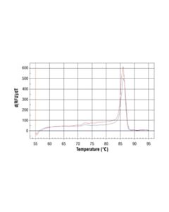 Cell Signaling Simplechip Human Cdkn1a Intron 1 Primers