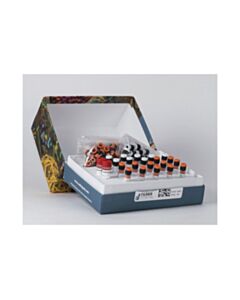 Cell Signaling Simplechip Chip-Seq Multiplex Oligos For Illumina (Dual Index Primers)