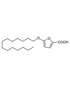 Cell Signaling Tofa
