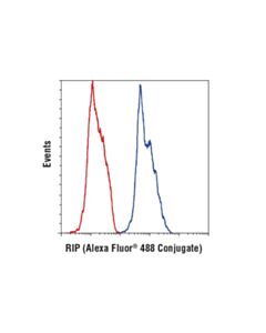 Cell Signaling Rip (D94c12) Xp Rabbit mAb (Alexa Fluor 488 Conjugate)