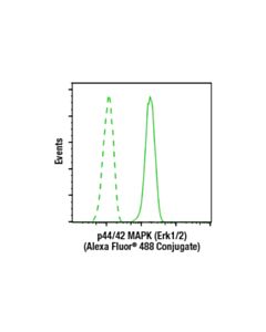Cell Signaling P44/42 Mapk (Erk1/2) (137f5) Rabbit mAb (Alexa Fluor 488 Conjugate)