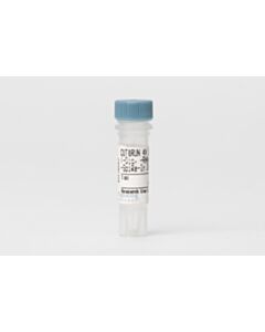 Cell Signaling Cut&Run 4x Stop Buffer