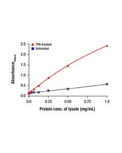 Cell Signaling Phospho-FRA1 (Ser265) Matched Antibody Pair